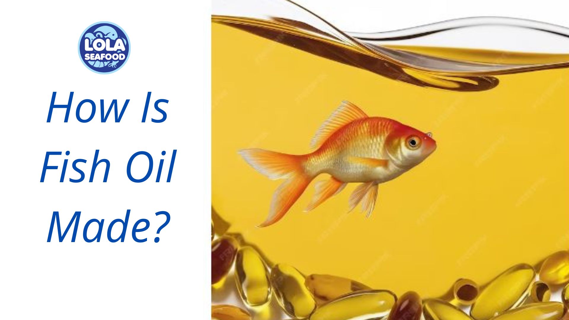 How Is Fish Oil Made?